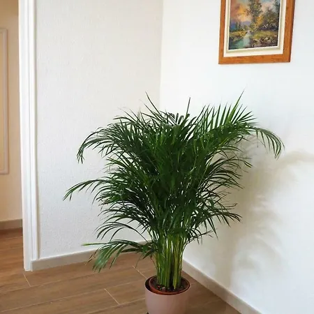 Apartamento En Top Alicante